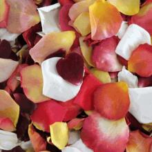 Eco-Friendly Flower Petals, Sunset Blend (30 cups)